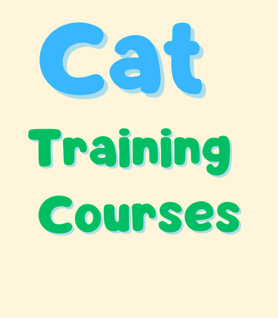 Teach Your Cat!